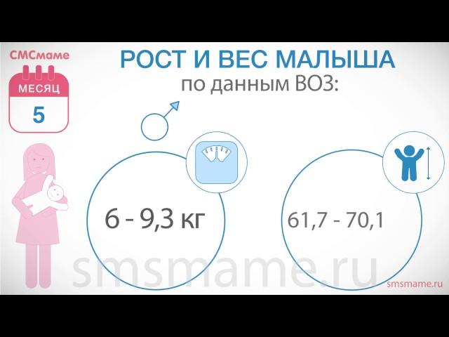 Ребенок 5 месяцев - рост и вес, режим дня, питание ребенка