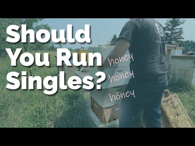 Are Singles Better Than Doubles? Should You Run Singles?