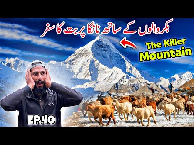  Crossing Killer Mountain Nanga Parbat | Travelling With Bakarwal in Kashmir Episode 40