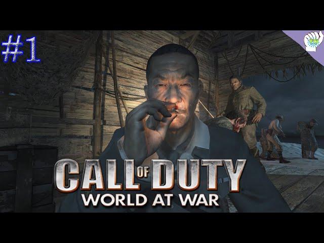 Call of Duty World at War Gameplay Part 1 - Semper Fi - (PC) [1080p60fps]