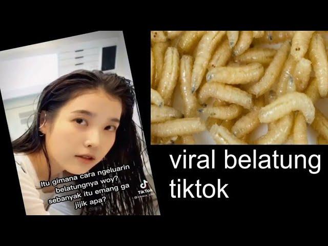 BELATUNG YANG LAGI VIRAL DI TIKTOK FULL VIDEO link diskripsi