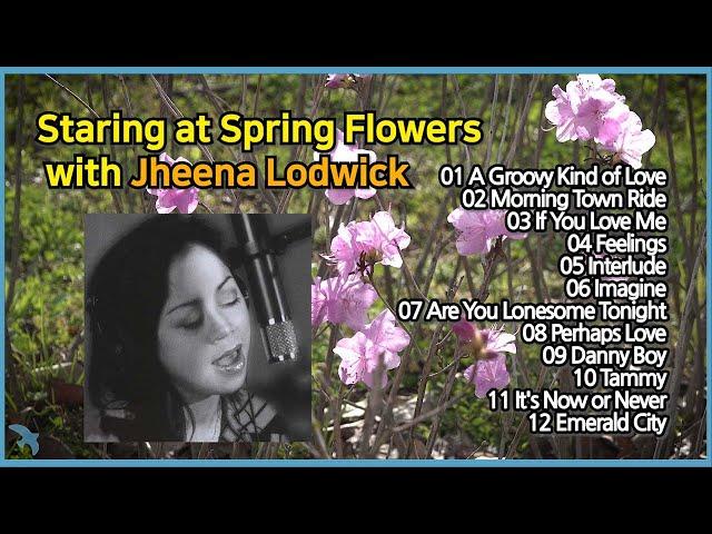 [12곡 봄꽃멍] Staring at Spring Flowers with Jheena Lodwick