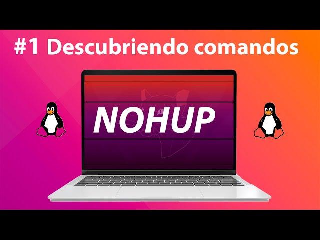 NOHUP  | Descubriendo comandos de LINUX #1 