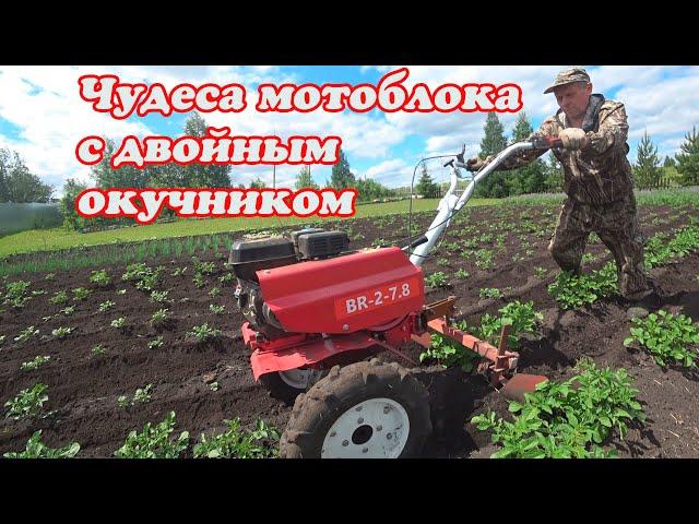 ОКУЧИВАНИЕ КАРТОШКИ ДВУХРЯДНЫМ ОКУЧНИКОМ НА МОТОБЛОКЕ