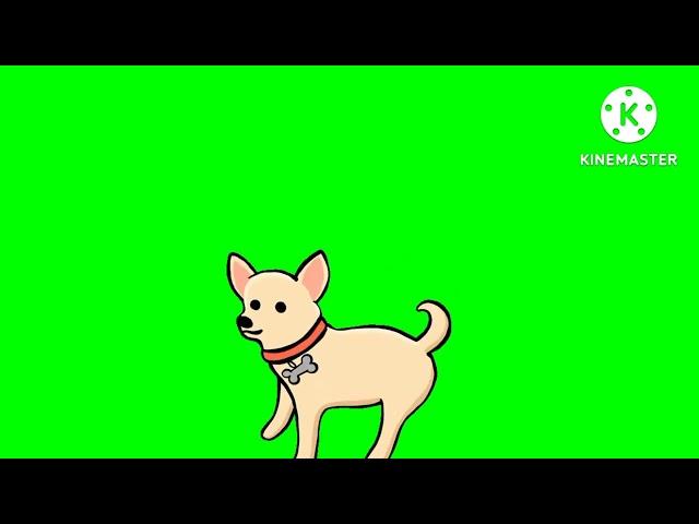 greenscreen copright free green screen cartoon  dog walking