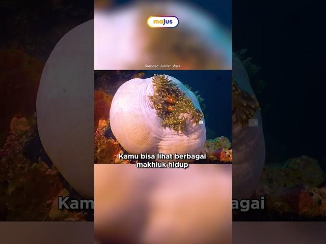 Pulang Paling Barat Indonesia