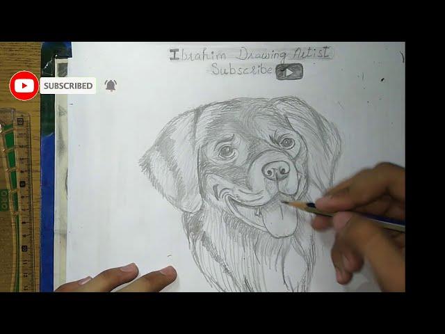 easy way to draw  Dog  sketch || only pencil️ use