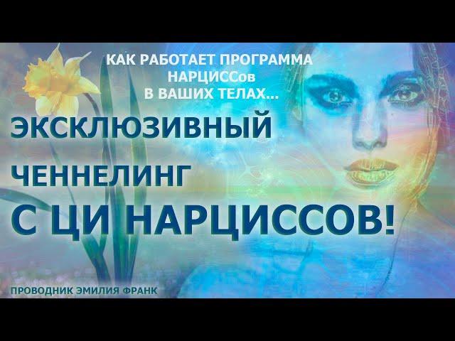 АКТУАЛЬНЫЙ ЧЕННЕЛИНГ С ЦИ НАРЦИССОВ/ EXCLUSIVE CHANNELING WITH DARCISS CIVILIZATION