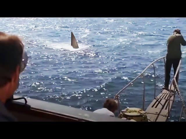 Jaws: You're Gonna Need a Bigger Boat (HD CLIP)