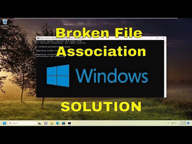 Fix Broken EXE File Association in Windows 11/10 [Solution]