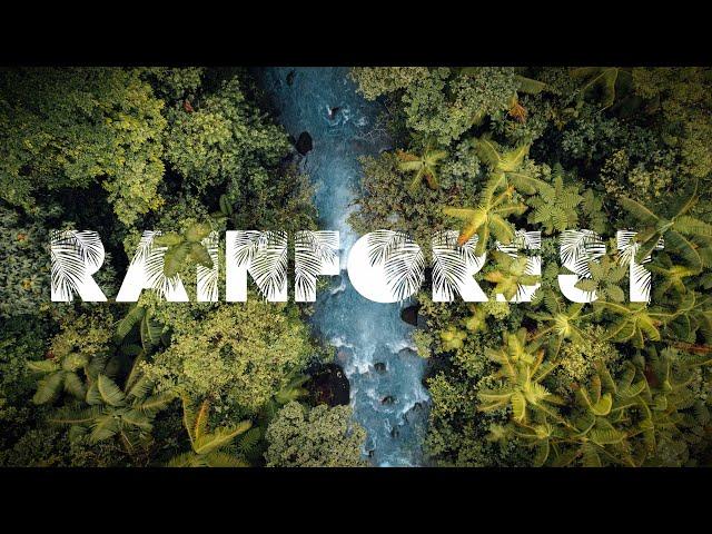 "Rainforest" | Costa Rica Documentary