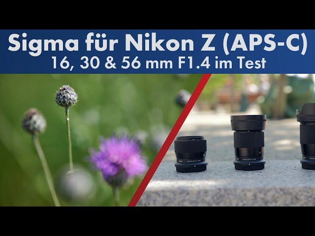 Nun auch für Nikon Z: Sigma 16, 30 & 56 mm f/1.4 DC DN im Test [Deutsch]