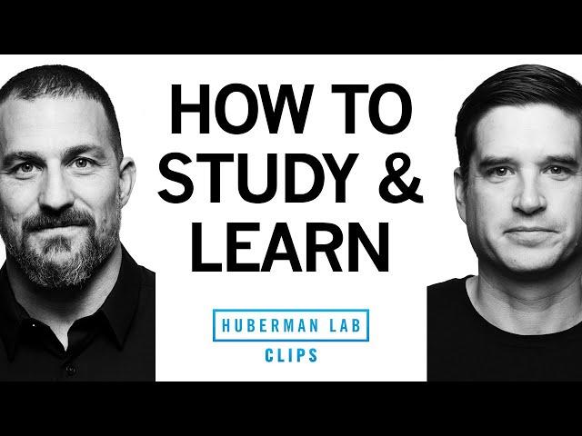 How to Study & Learn Using Active Recall | Dr. Cal Newport & Dr. Andrew Huberman