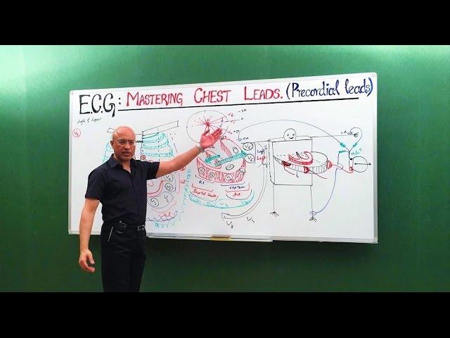 ECG | EKG | Chest Leads | Cardiology | Dr Najeeb🩺