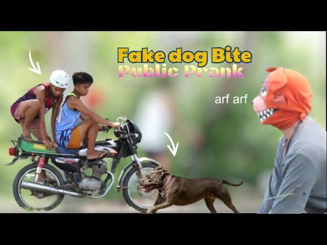 FAKE DOG BITE "PUBLIC PRANK" | Akala nila nakagat talaga sila 