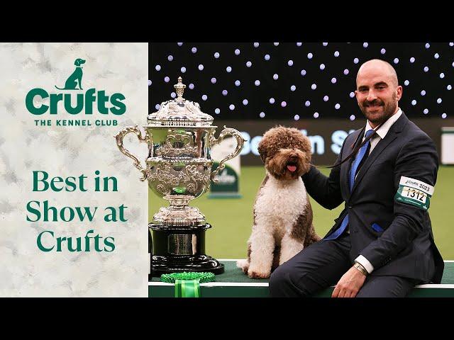 The Best of the Best  Our Best in Show Winners from Crufts Past