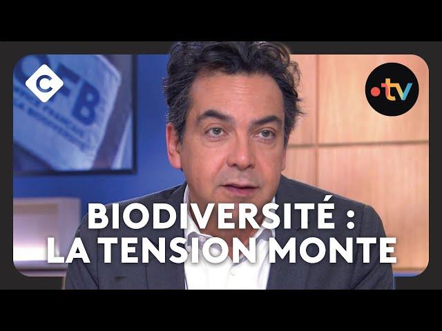 L’Office Français de la biodiversité, ennemi des agriculteurs ? - L’édito de Patrick Cohen