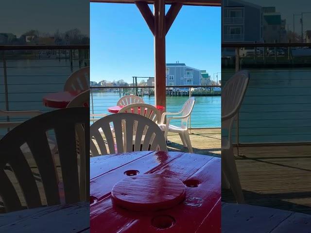 Boating life #boating #boats #seashore #birds #docks #sunshine