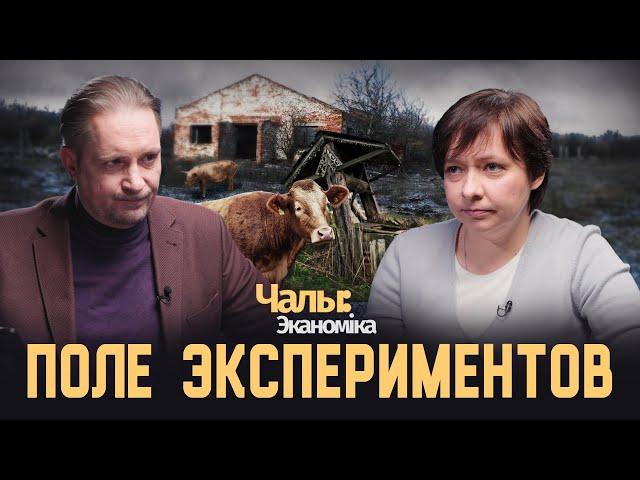 За следующую пятилетку точно всё исправим! | Чалый:Экономика