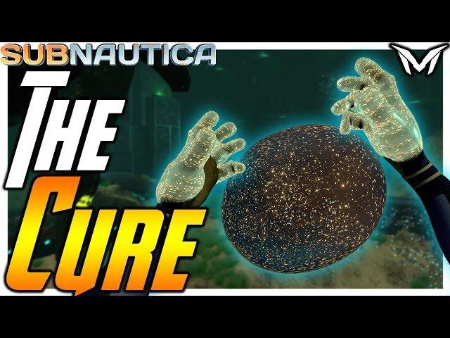 Subnautica | HATCHING ENZYMES | THE CURE | Subnautica Full Release Gameplay 9