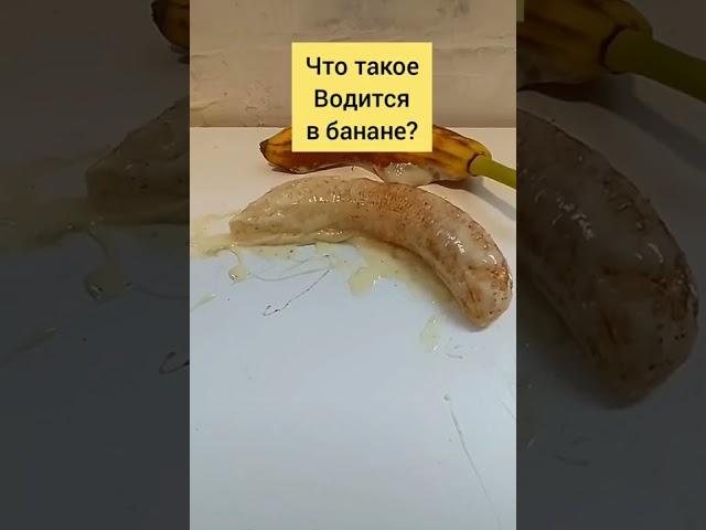 Банан червяк