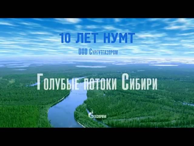 10 лет НУМТ