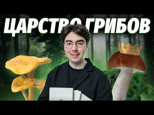 Коротко о царстве грибов | Все, что нужно знать для ОГЭ | Биология 2024 | Умскул