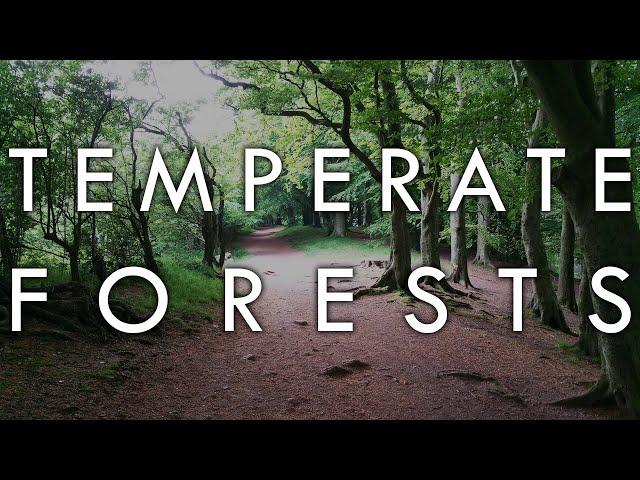 The Temperate Forest Biome - Biomes#6