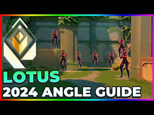 COMPLETE Lotus Entry & Defense Angle Guide [2024]