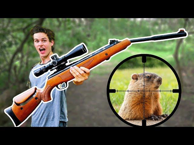 Hunting with World’s Most Powerful Break Barrel Air Rifle!