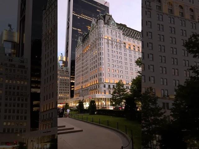 The Palace Hotel, New York, USA  #shorts #youtubeshorts #ytshorts #vlog #viral #reels #2023 #yt