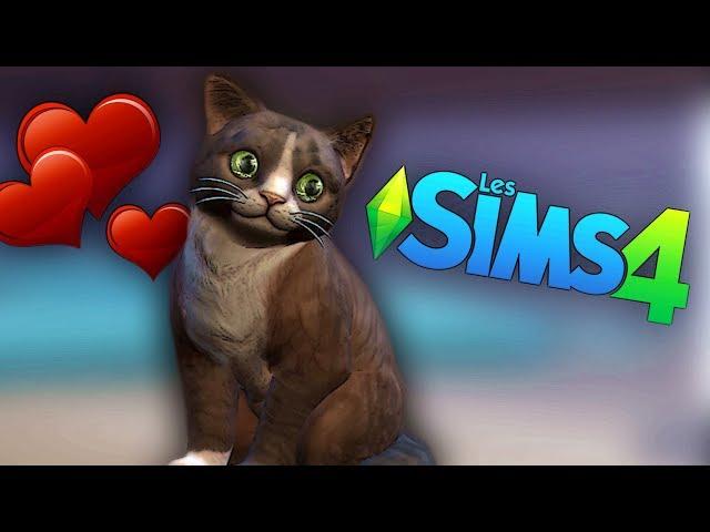 JE VOUS PRÉSENTE MON CHAT D'AMOUR | Sims 4 #5