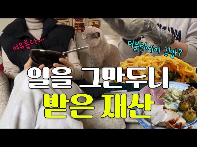 비현실 같은 아일랜드 생활  | 쉼으로 완성된 나의 연말 이야기 | 아일랜드 정착기 EP.5