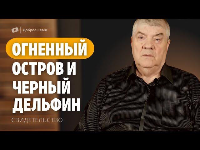 Огненный остров и Черный дельфин | свидетельство о труде | Владимир Киселев