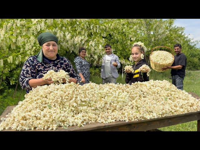 HARVESTING ANGEL WHITE LILAC FLOWERS | Lilac Jam and Compot Recipe Cooking In Village | Hard Life