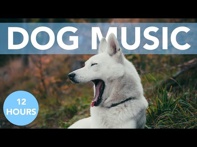 12 HOURS OF RELAXING DOG MUSIC! Great for Anxiety, Crate Training