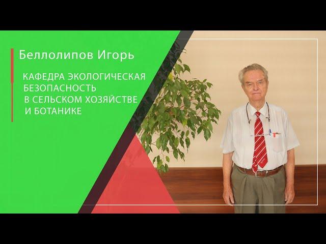 Тема: Бурые водоросли