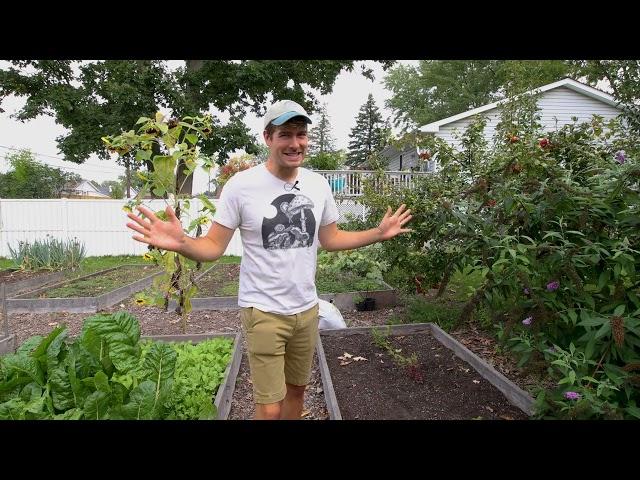 I Got SCHOOLED By An 83 Year Old Farmer On How To Grow Blueberries