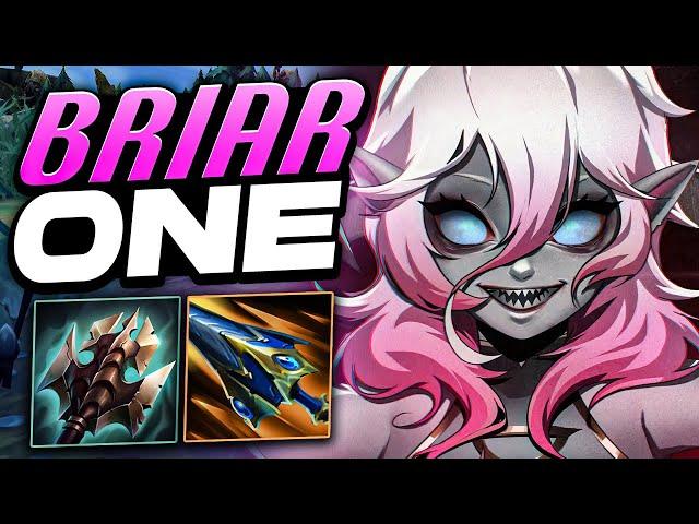 NEW S14 How To Play Briar Jungle Bruiser | Indepth Guide Learn Climb