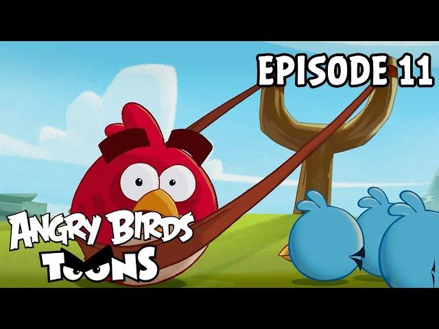 Angry Birds Toons | Slingshot 101 - S1 Ep11