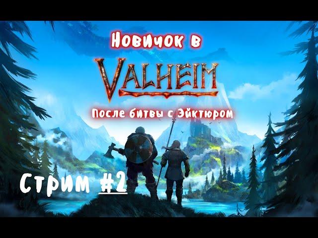 Новичок в Valheim. Стрим № 2