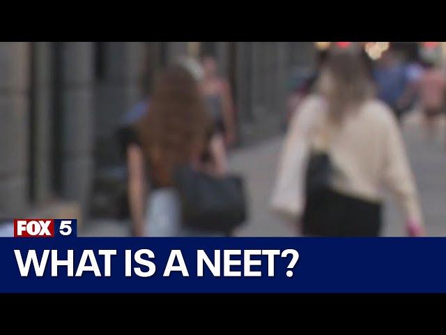 What is a NEET?