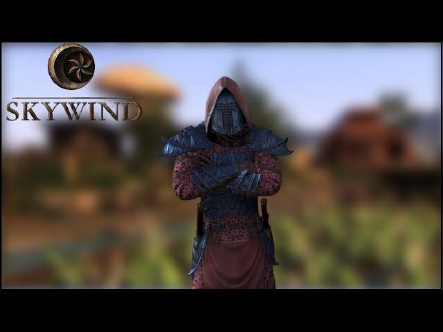 Skywind - The Brilliant Looking Morrowind Remaster, Built from Skyrim