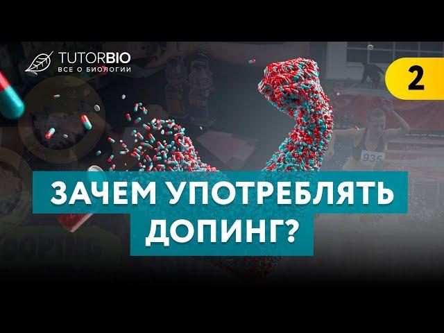 Допинг. Зачем его употребляют спортсмены. Как работают запрещенные препараты.