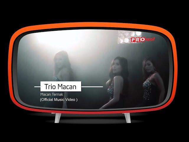Trio Macan - Macan Ternak (Official Music Video)