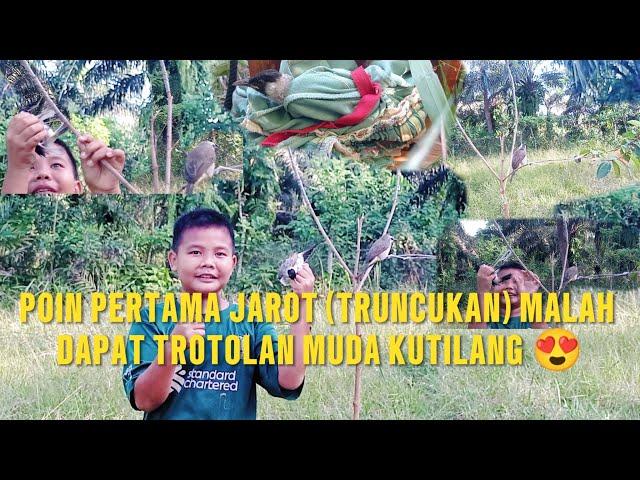 REJEKI MIKAT TRUNCUKAN DAPAT KUTILANG TROTOLAN