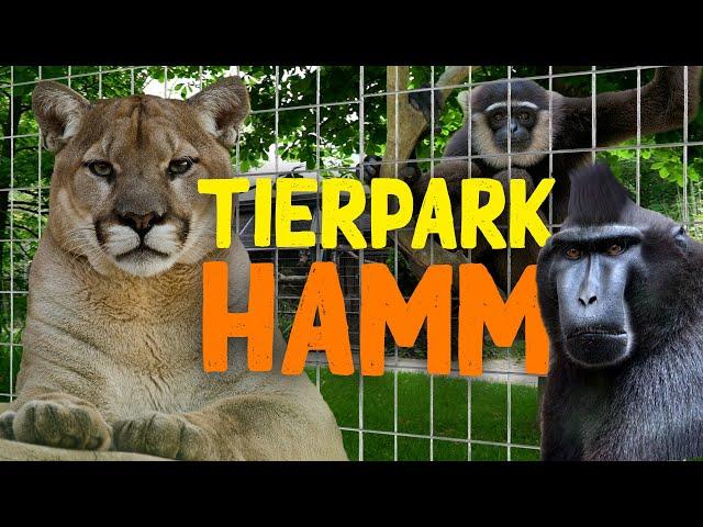 Tierpark Hamm | Zoo-Eindruck