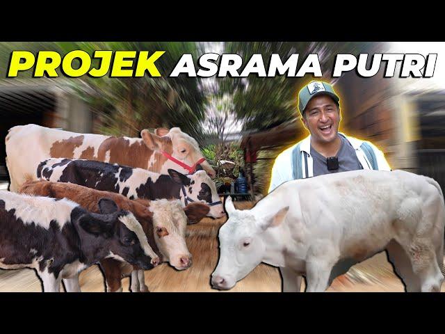 #01 PROJEK ASRAMA PUTRI | LAGI DAN LAGI..! NEKAD, JEBOLIN ZEN GARDEN UNTUK ASRAMA PUTRI..!!