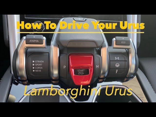 How to Drive a Lamborghini Urus