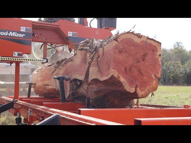 Incredible Boards From A Rare Cedar